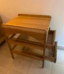 camibiadorbebemumi2